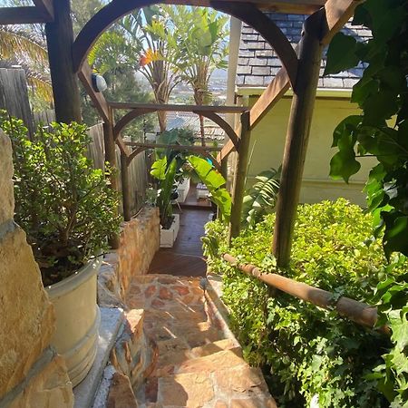 African Violet Guest Suites Noordhoek Kültér fotó