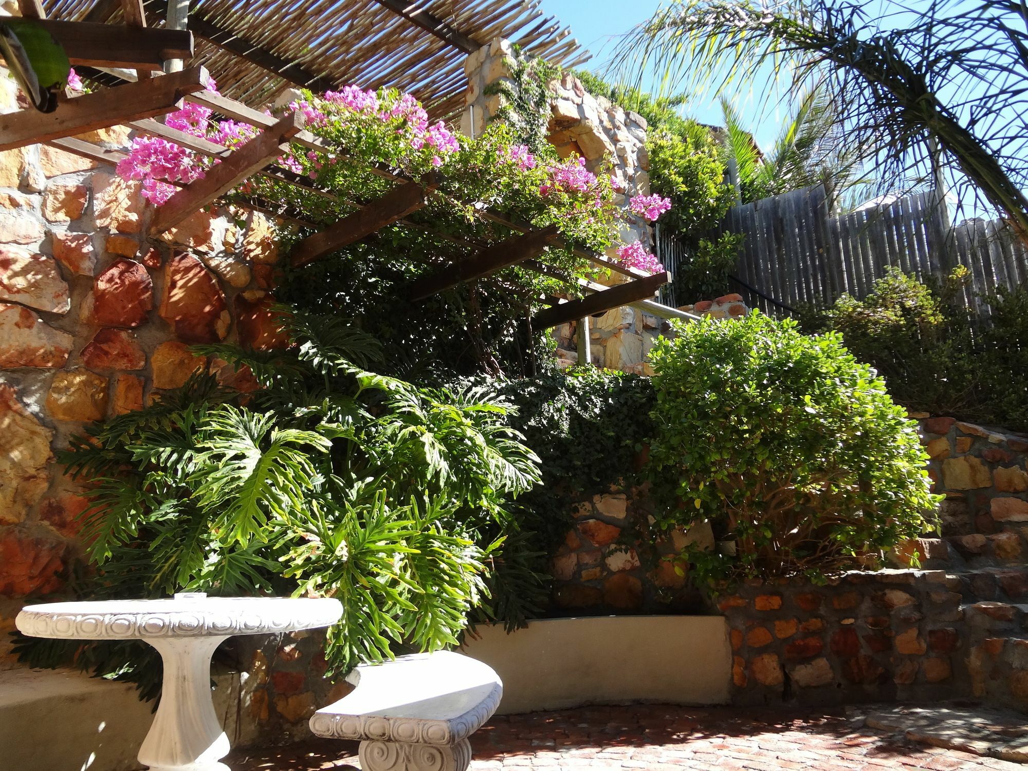African Violet Guest Suites Noordhoek Kültér fotó