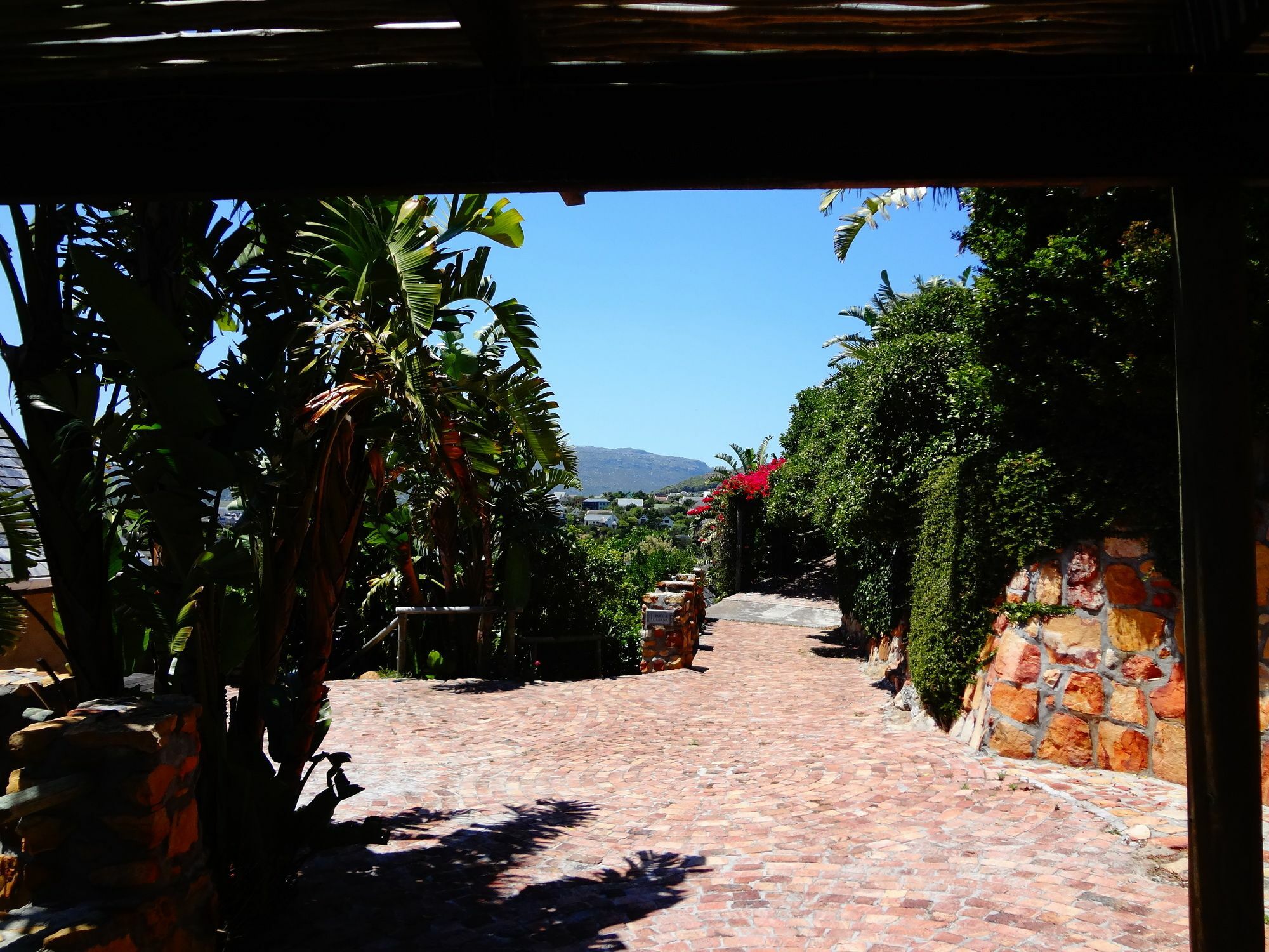 African Violet Guest Suites Noordhoek Kültér fotó